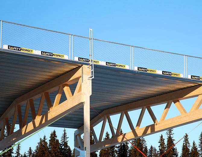 Fall protection Hall system
